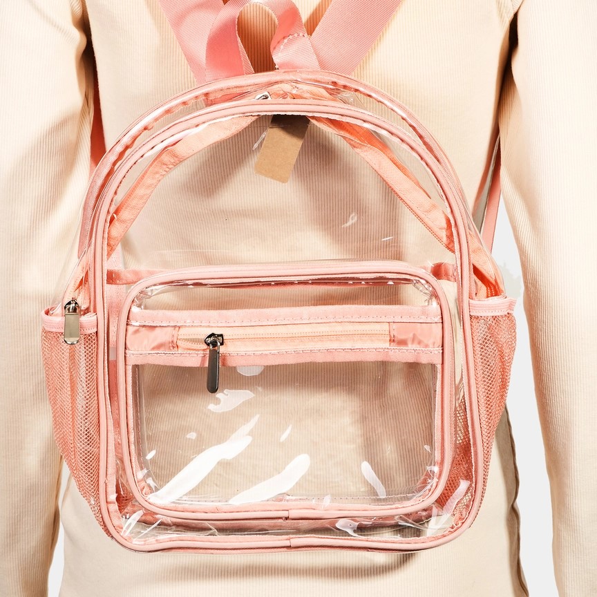 Transparent Backpack